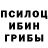 Псилоцибиновые грибы прущие грибы Alcidia Lima