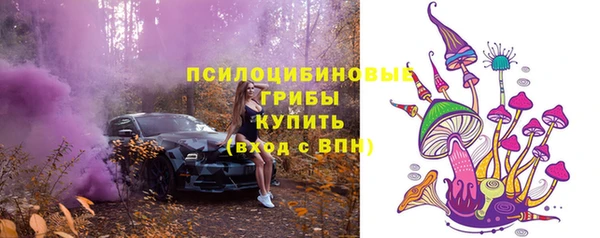 прущие крисы Аркадак