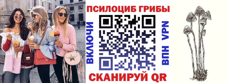 Галлюциногенные грибы ЛСД  Вихоревка 
